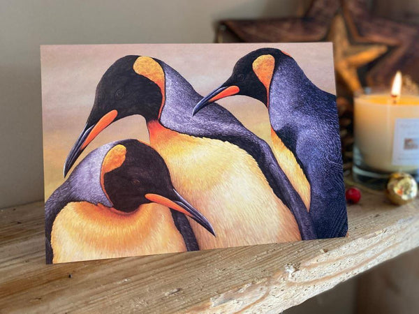 King Penguins on Saunders Island | Pack of 5 Christmas cards