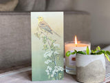 small-blank-greetings-card-yellowhammer-lifestyle