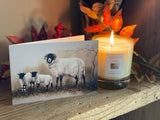 small-blank-greetings-card-sheep-and-lambs-lifestyle