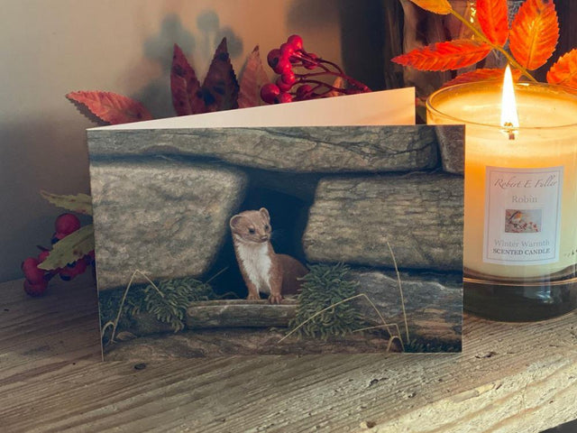 small-blank-greetings-card-weasel-wall-lifestyle