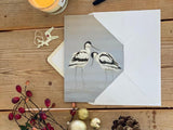 christmas-avocets-lifestyle