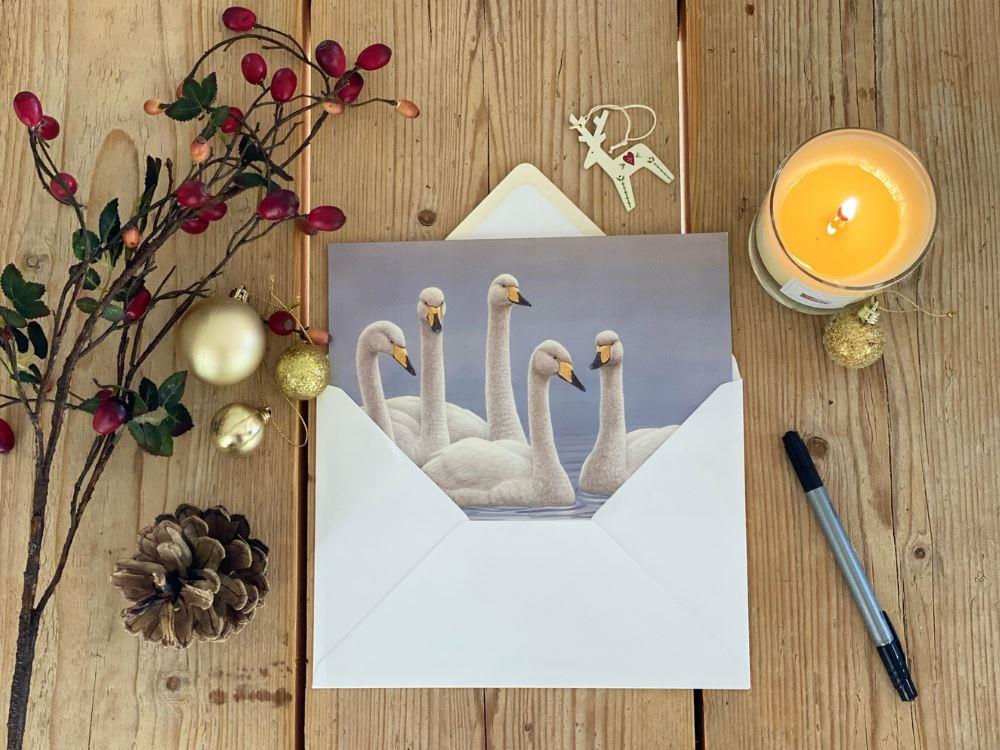 Christmas-whooper-swans-lifestyle