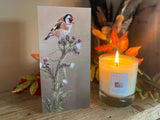 small-blank-greetings-card-goldfinch-lifestyle