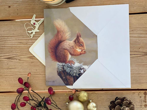 Squirrel Nutkin | Pack of 5 Christmas cards