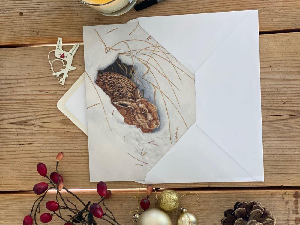 christmas-snow-hare-to-go-envelope