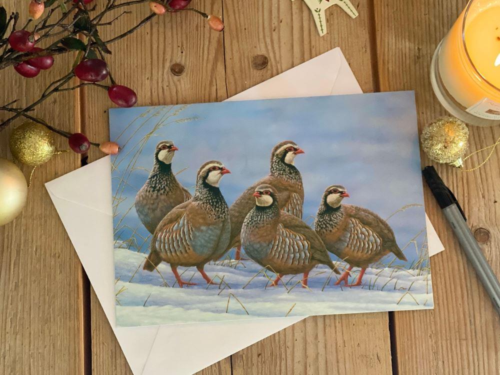 christmas-covey-partridges-lifestyle