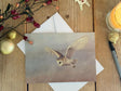 christmas-barn-owl-lookout-lifestyle