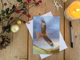 christmas-red-kite-lifestyle