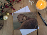 christmas-otter-lifestyle