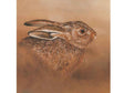 6x6-Leveret-Portrait