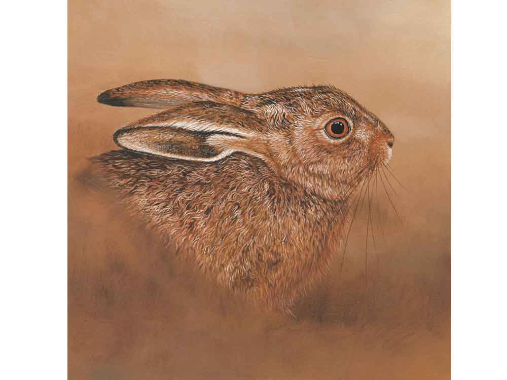 6x6-Leveret-Portrait