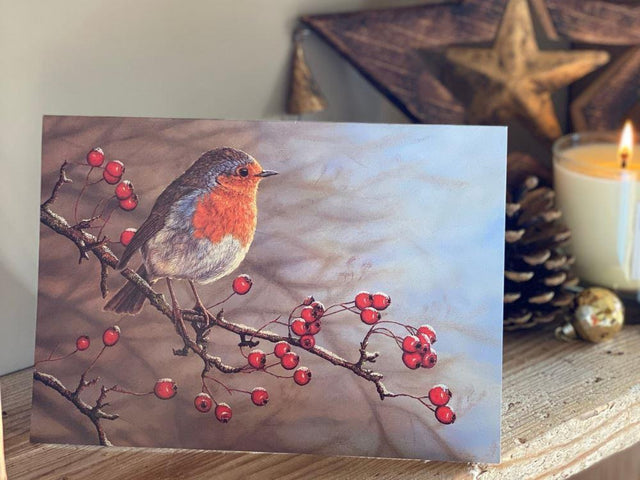 christmas-robin-hawthorn-lifestyle