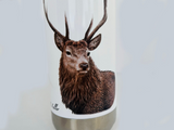 water-bottle-red-stag-close-up