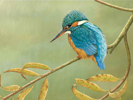 A-Kingfisher-Willow