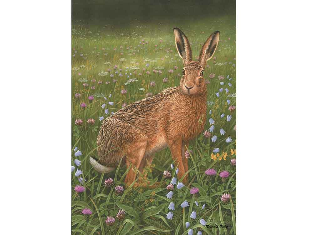 A_hare-in-wildflowers