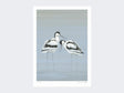 Avocets-Perfect-Pair-Print-Loose-Print-Only