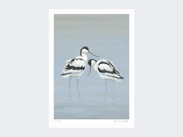 Avocets Perfect Pair | Kunstdruck in limitierter Auflage