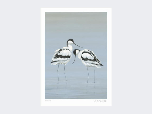 Avocets-Perfect-Pair-Print-Loose-Print-Only