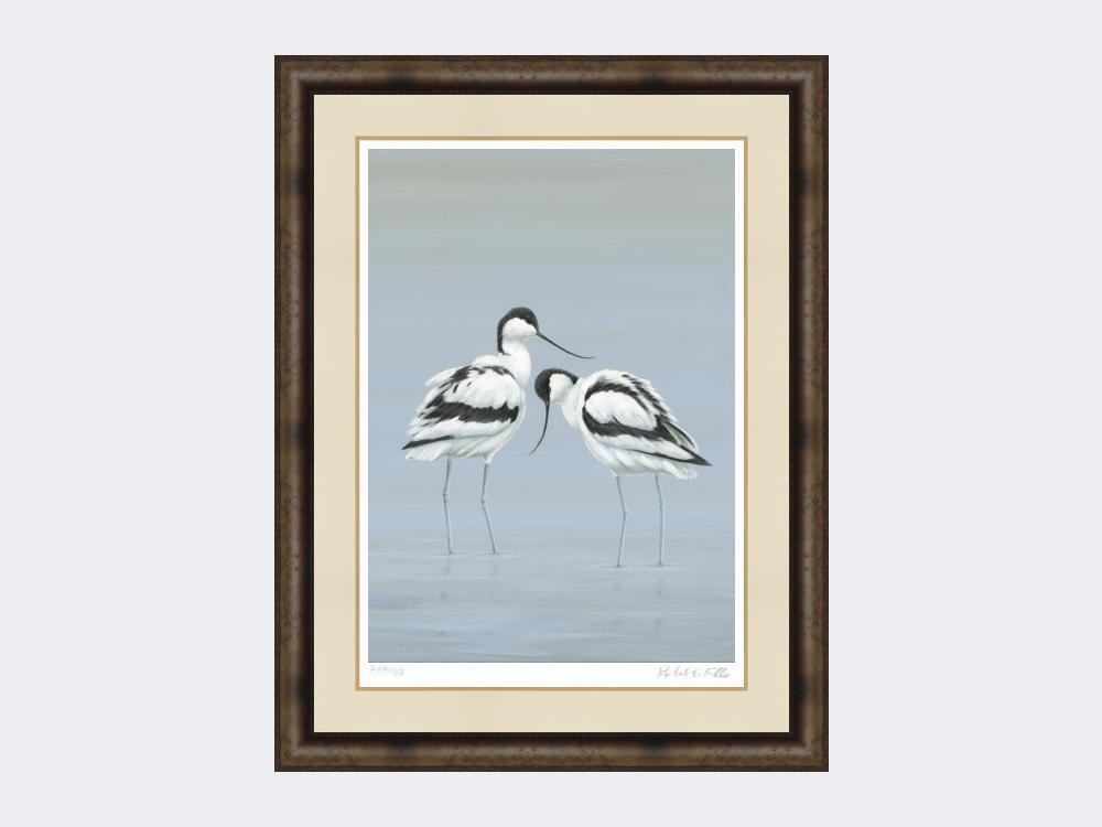 Avocets-Perfect-Pair-Print-Medium-Dark-Grey-Burr