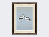 Avocets-Perfect-Pair-Print-Medium-Dark-Grey-Burr