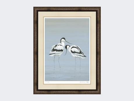 Avocets-Perfect-Pair-Print-Medium-Dark-Grey-Burr