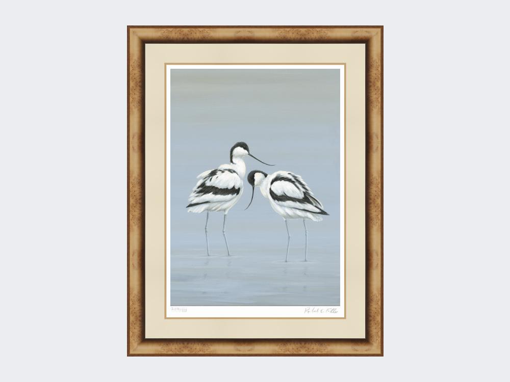 Avocets-Perfect-Pair-Print-Medium Light Burr