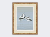 Avocets-Perfect-Pair-Print-Medium Light Burr