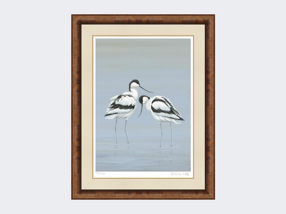 Avocets-Perfect-Pair-Print-Medium Walnut Burr