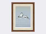 Avocets-Perfect-Pair-Print-Medium Walnut Burr