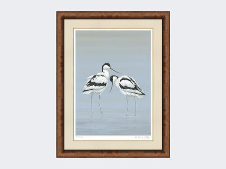 Avocets-Perfect-Pair-Print-Medium Walnut Burr