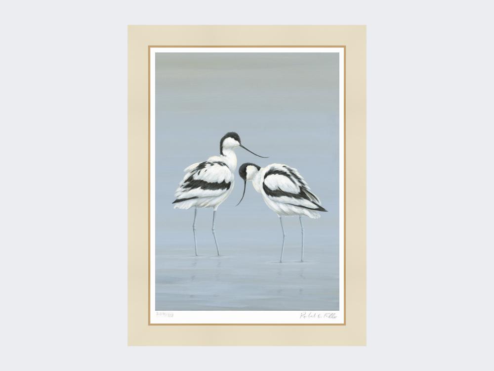 Avocets-Perfect-Pair-Print-Mounted-Print-Only