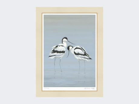 Avocets-Perfect-Pair-Print-Mounted-Print-Only