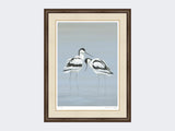 Avocets-Perfect-Pair-Print-Small-Dark-Grey-Burr