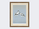 Avocets-Perfect-Pair-Print-Small Light Burr