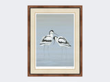 Avocets-Perfect-Pair-Print-Small-Walnut-Burr