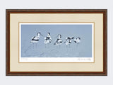 Avocets-Print-Harvest-Twist