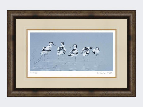 Avocets-Print-Medium-Dark-Grey-Burr