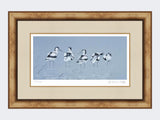 Avocets-Print-Medium-Light-Burr