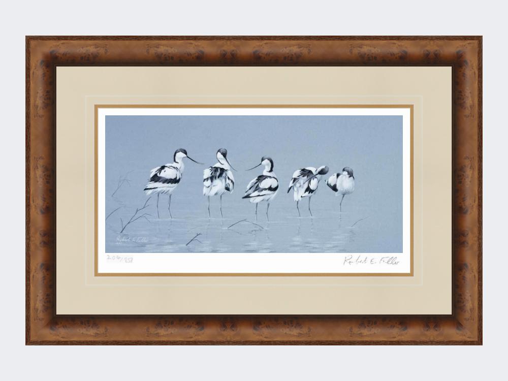 Avocets-Print-Medium-Walnut-Burr