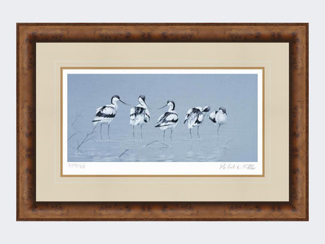 Avocets-Print-Medium-Walnut-Burr