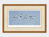 Avocets-Print-Rustic-Country