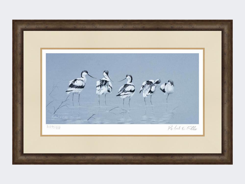 Avocets-Print-Small-Dark-Grey-Burr