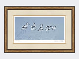 Avocets-Print-Small-Light-Burr