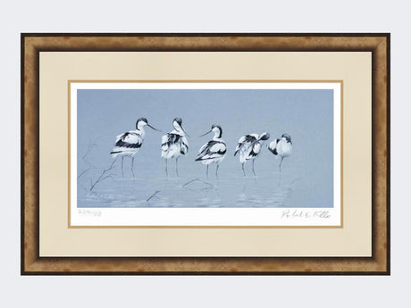 Avocets-Print-Small-Light-Burr