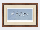 Avocets-Print-Small-Walnut-Burr