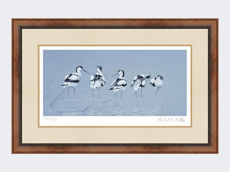 Avocets-Print-Small-Walnut-Burr