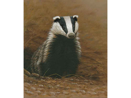 Badger-Call-of-Duty