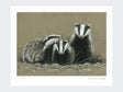 Badger-and-Two-Cubs-Print-Loose-Print-Only