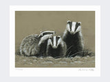 Badger-and-Two-Cubs-Print-Loose-Print-Only