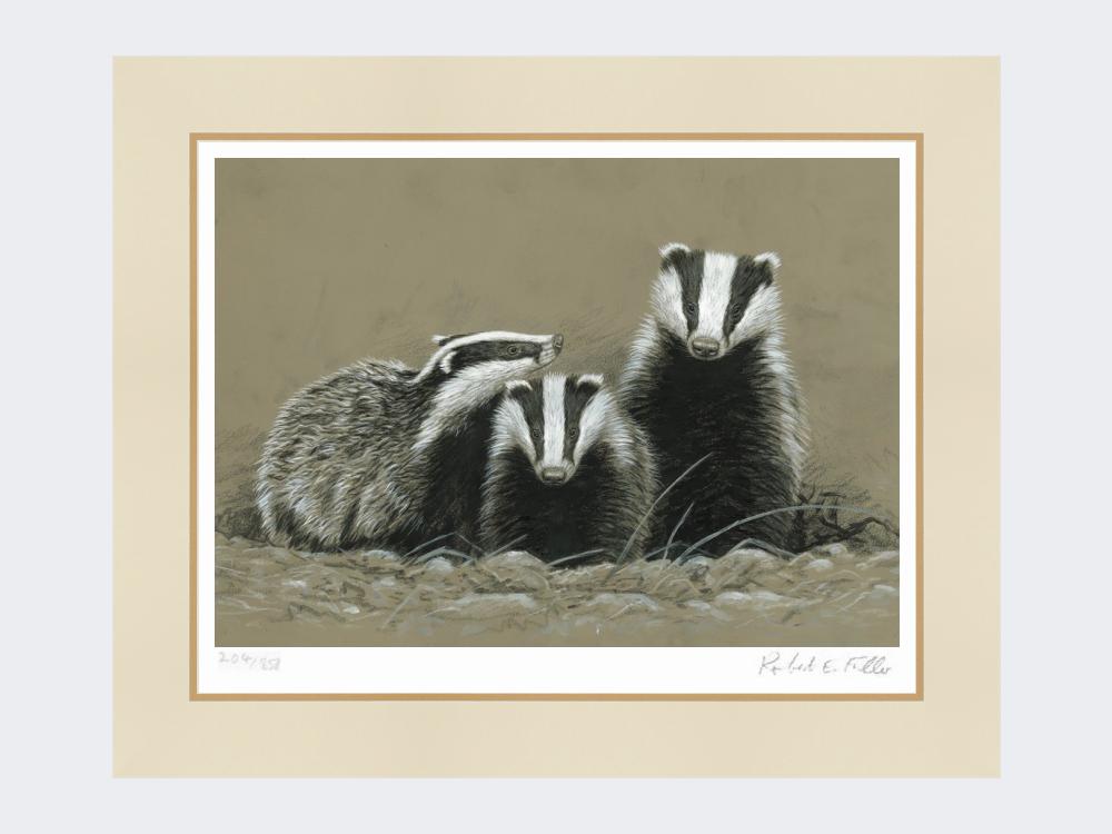 Badger-and-Two-Cubs-Print-Mounted-Print-Only